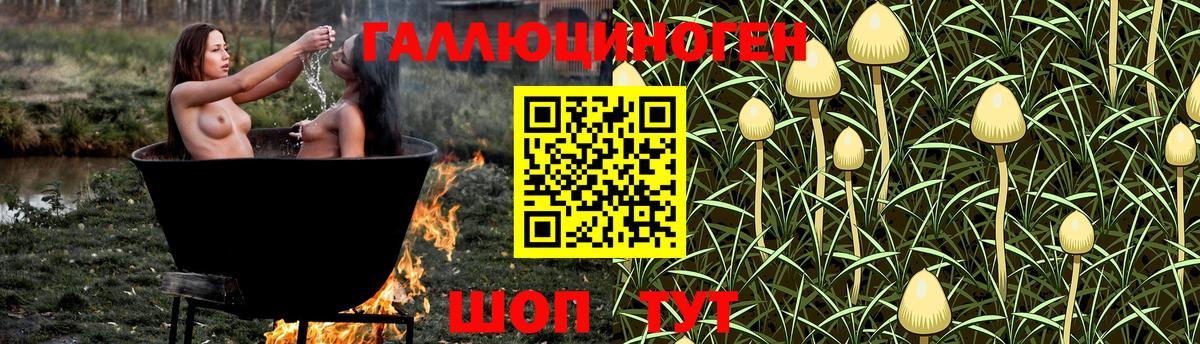 Галлюциногенные грибы мухоморы Сальск
