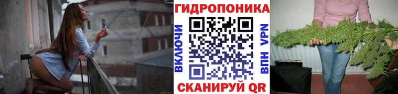 Каннабис план  Сальск 
